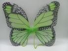 Green Monarch Butterfly Wings